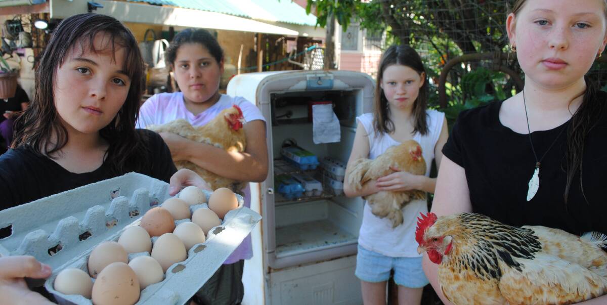 CRANKY KIDS: Friends Darcie Schultz and Taya Bamblett were just as disappointed as sisters Catriona and Emily Lynch when the girls' eggs were stolen from a fridge outside their home on the Princes Highway last week.