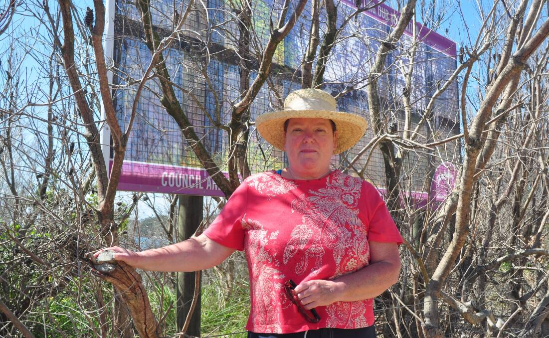 POLICY CHANGE: A large sign blocked the view where trees that once grew on the foreshore were poisoned. Now council proposes lopping the trees.