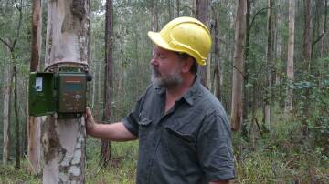 DPI principal research scientist Dr Brad Law used remote acoustic sensing equipment and algorithms to tease out data over seven years of monitoring in eastern native forests. Photo supplied.