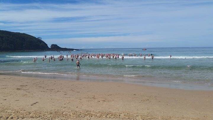 GAME ON: Swimmers heading out into the ocean. Image: supplied.