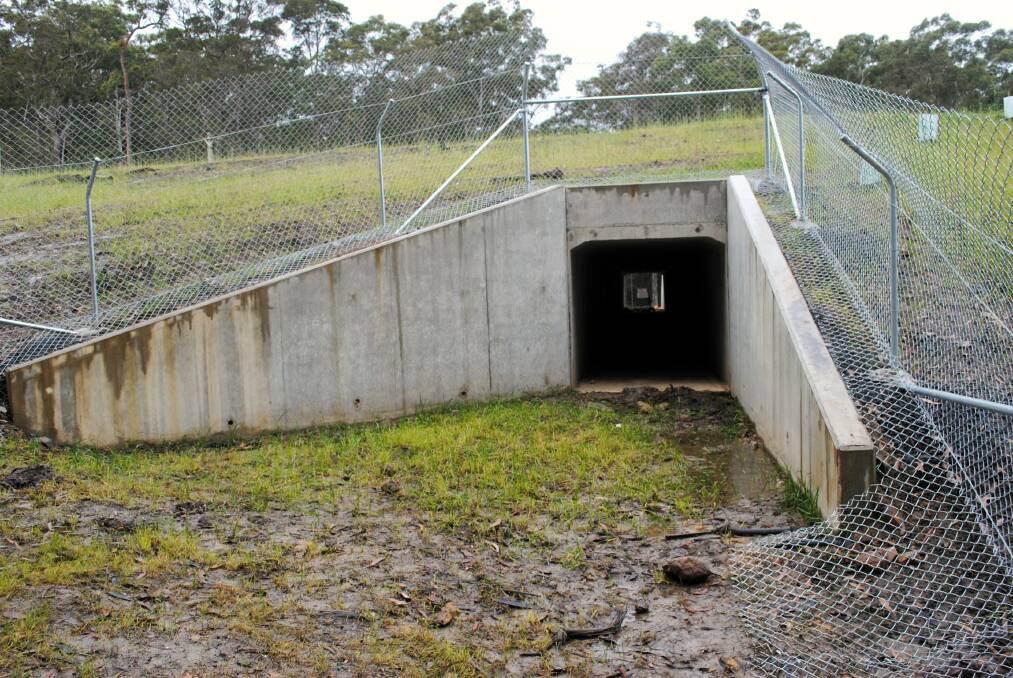 Fauna protection has been built at the new Termeil Creek Bridge to allow safe passage of wildlife across and under the highway via an underpass, bridges and poles.
Images by Jessica McInerney.