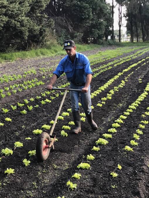 HARD WORK: Joshua Strong of Strong Organics vegetables at Terara will receive funds towards the purchase of a two-row transplanter, to plant his seedlings more efficiently.