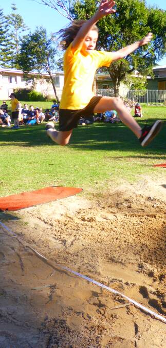 Johnny Dale takes a flying leap in the long jump at the Ulladulla Public School Athletics Carnival.