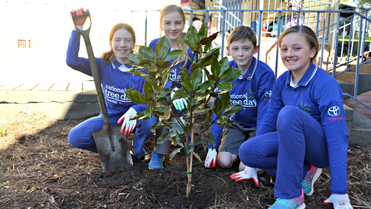 NEW ROOTS: Poppy Gillespie, Ella Thompson, Ethan Berry and Julia Armstrong saw one of the school's new magnolia trees off to a good start on Friday. 