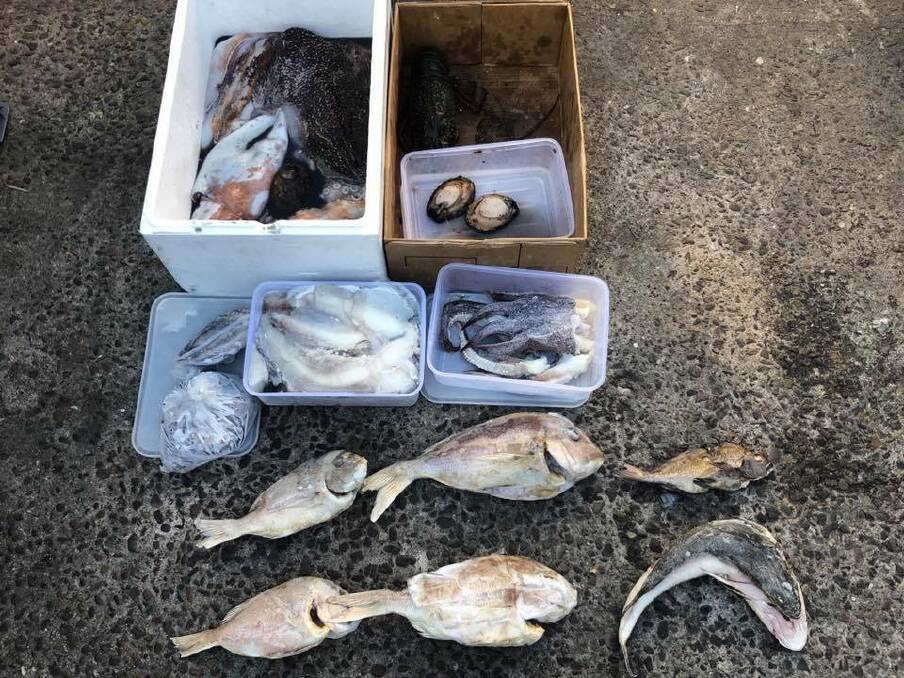Haul of allegedly illegal fish seized from retail shop. Photo: DPI