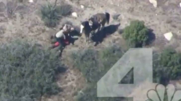 Ten deputies have been placed on administrative leave after accusations that they used excessive force when arresting Francis Jared Pusok, who had fled on a stolen horse. Photo: Screengrab taken from NBC helicopter footage