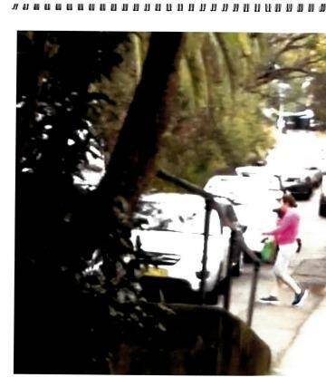 Scots College: This picture shows `a conflict between vehicles using the service road and residents exiting a house with a frontage to the service road', the judgment found.  Photo: Supplied