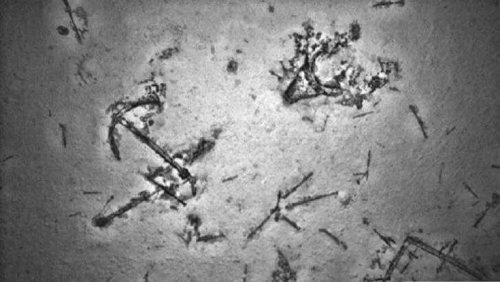 Shipwreck: an anchor found during the underwater search for MH370. Photo: ATSB