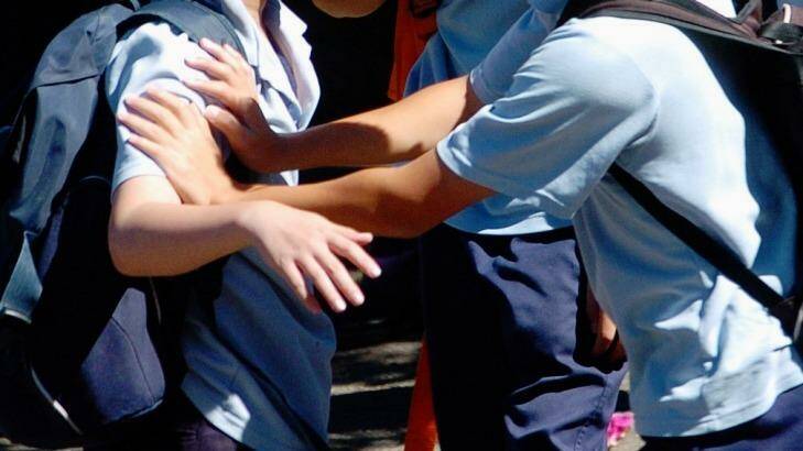 A study by University of South Australia academics has found that 20 per cent of school-aged children regularly experienced bullying in 2015.
 Photo: Janie Barrett