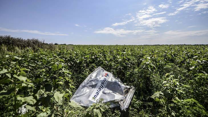 A piece of wreckage of  Malaysia Airlines flight MH17 is pictured in a field near the village of Grabove, in the region of Donetsk. Photo: AFP Photo