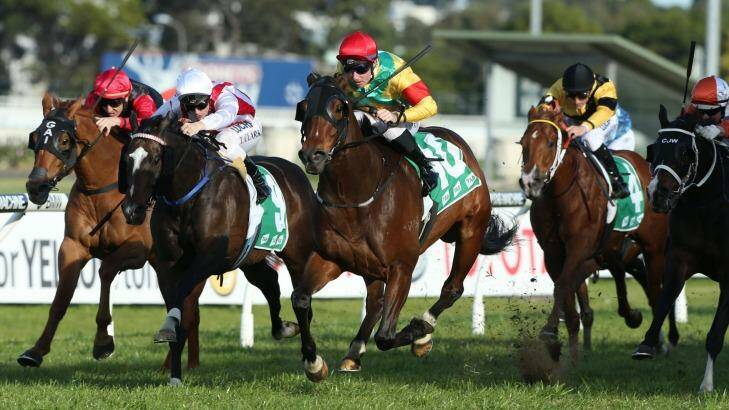 Tommy terrific: Tommy Berry rides Keepit To Yourself to win the Winter Challenge at Rosehill. Photo: Bradley Photos