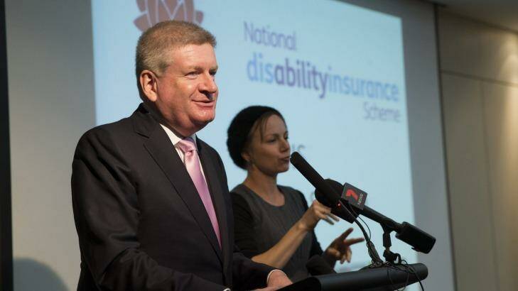 Assistant Minister for Social Services, Mitch Fifield. Photo: Geoff Jones