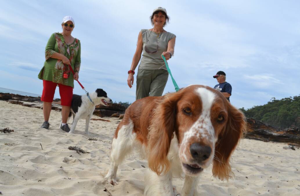 BEACH GOERS: Sadhana Goulston and her pooch have joined the fight for a dog off-leash exercise area at Narrawallee Beach.