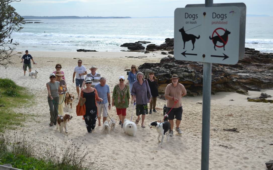 FREE-PLAY: Dog owners are lobbying Shoalhaven City Council for an off-leash exercise area on Narrawallee Beach where they are currently restricted to an on-leash only section in the middle of the beach.