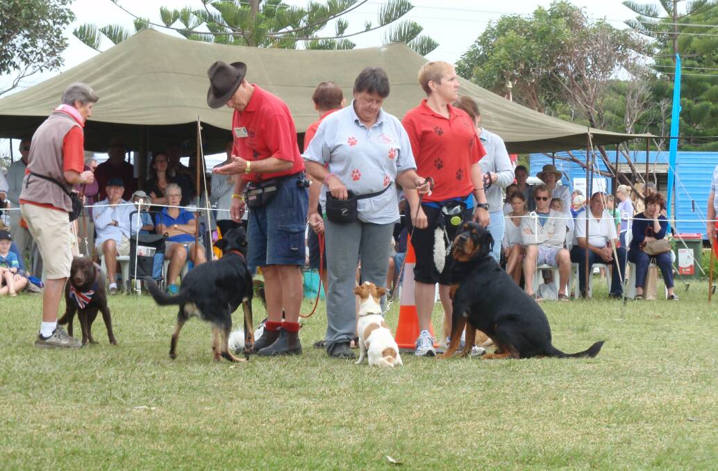 ON SHOW: Members of the Milton-Ulladulla Dog Training Club who performed at the Lions Club Australia Day celebrations are chief instructor Diane Richmond with her dog Lady, Mark Wilden with his dog Rex, Belinda Smithers with her dog Kelly and Natasha Backhouse and her dog Busta. 