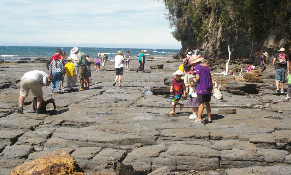 ROCK ON: More volunteer leaders are needed to conduct guided tours of Ulladulla’s Gondwana Coast Fossil Walk at the harbour over summer. 
