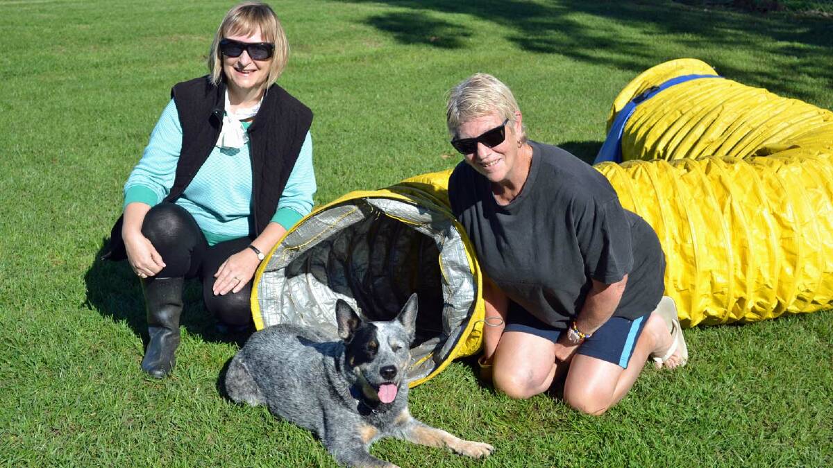 POOCH PLAY: Milton-Ulladulla Dog Training Club instructors Janet Smith and Jenny Patch, along with Billy the blue heeler, are excited about a proposed dog playground that will open to the public.