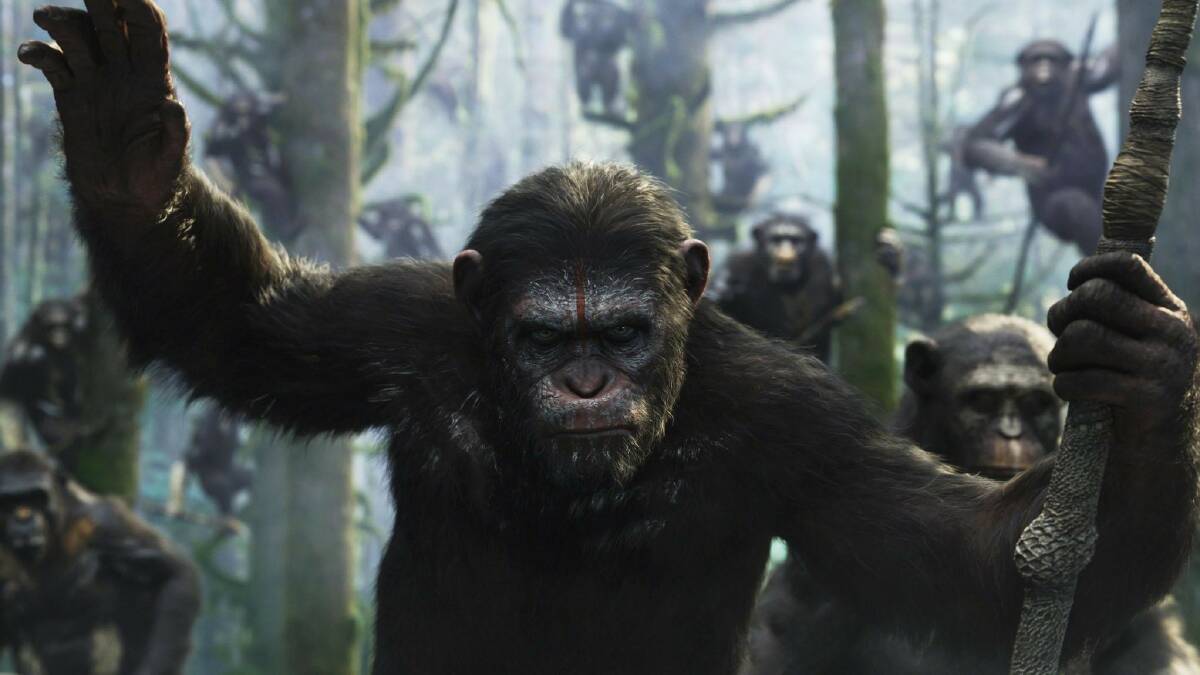 TOP FILM: Dawn of the Planet of the Apes is a terrific follow-up to 2011’s Rise of the Planet of the Apes with clear, evocative themes and sublime digital effects.