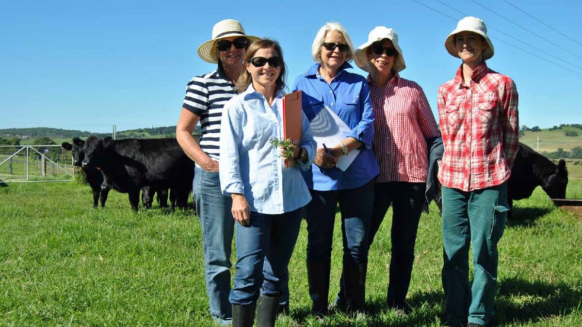 NETWORKED: Shoalhaven Beef Association members Janelle Wallace, Jenny Moffit, Jane McCrossin, Liz Gee, and Kim Wilson are changing the face of farming, with women making up half the association’s membership.