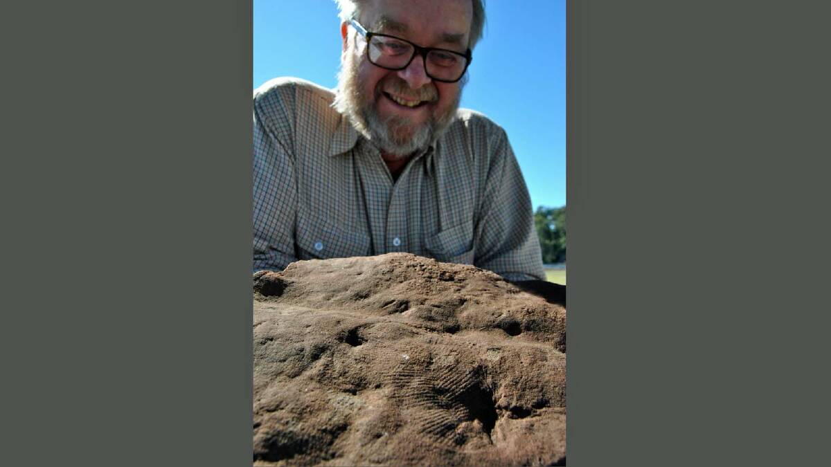 SAVING GRACE: Gondwana Coast Fossil Walk volunteer Don Davidson with the rare jellyfish fossil that was one of only a handful of relics to survive last week’s fire.