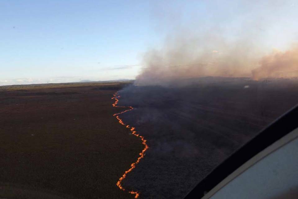 Southern edge of the Limeburners Creek fire, Tuesday. Pic: Phillip Bowman