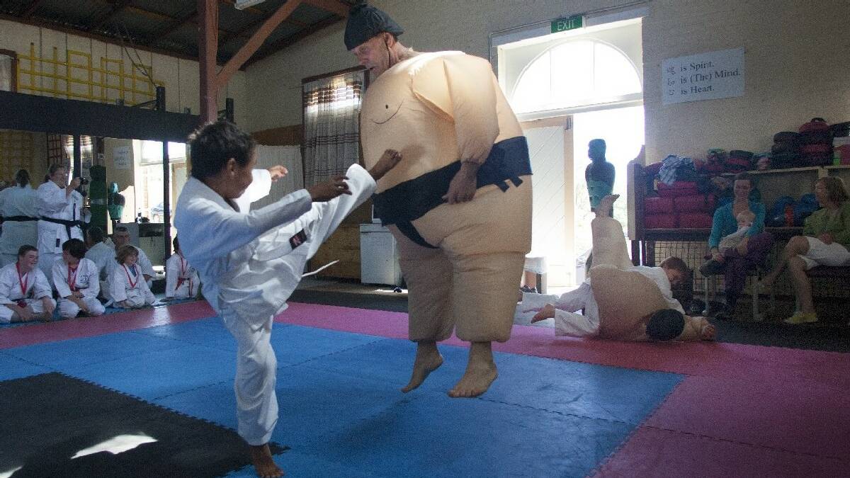 CANDELO: An open day at the Candelo   Karate Dojo saw official presentations - as   well as some fun activities showcasing the   skills of young martial artists.