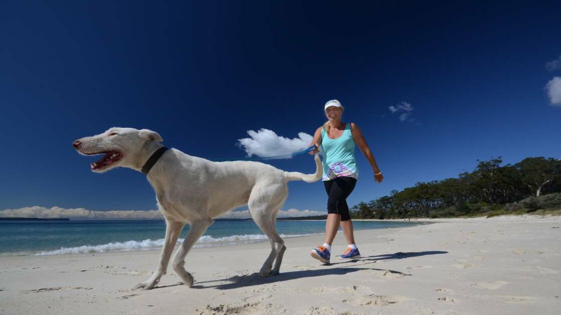 DOG'S BREAKFAST: The dogs off-leash issue has been riling up the community for years.