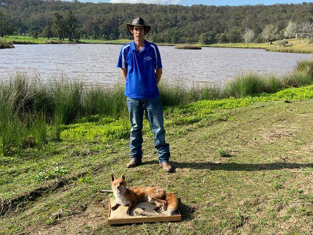 Rad Tyrell, volunteer shooter, said that by concentrating around wetlands and creeks, he's had success in finding foxes. Rad has shot 112 foxes since he began volunteering for the program and gets great satisfaction knowing that he's giving the native animals a fighting chance. Photo: supplied. 
