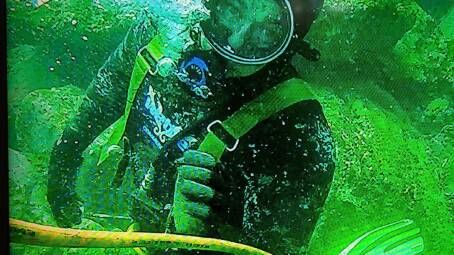 Abalone Narooma owner Stephen Bunney has been commerically diving for more than 33 years.
Photograph: supplied