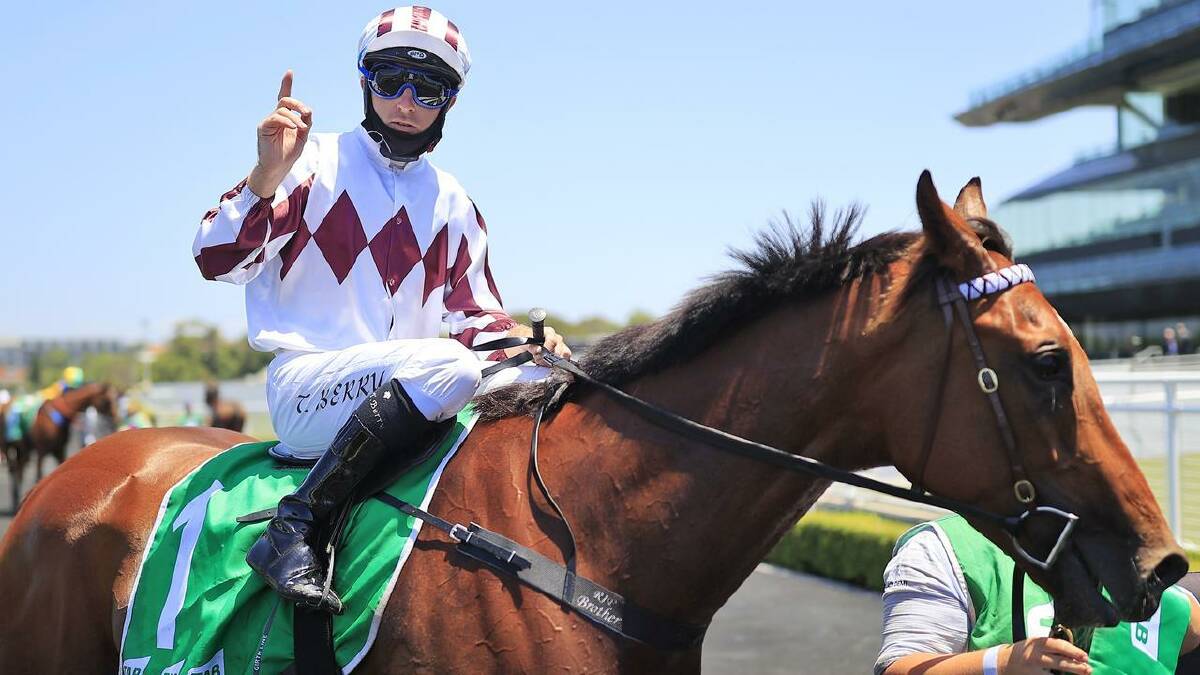  Art Cadeau (pictured) will look to defend it's title at the upcoming Kosciuszko race. Picture by Getty Images 