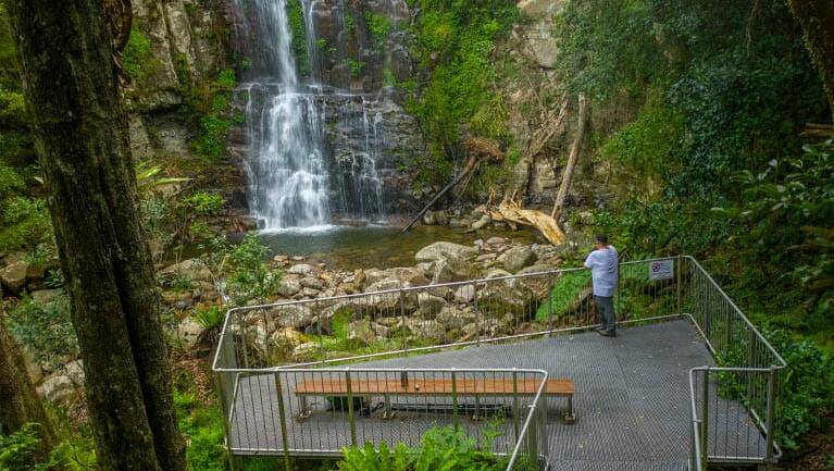 Waterfall views: One of the viewing platforms on the Minnamurra Falls walk. Picture: National Parks & Wildlife Service/John Spencer 