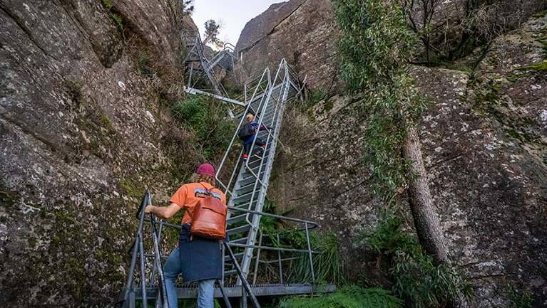 Hard slog: Parts of the Pigeon House Mountain Didthul walking track are steep and require walkers to climb ladders. Picture: National Parks & Wildlife Service/John Spencer