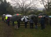 Rain didn't stop the community from seeing the bull industry in action. Picture: Supplied. 