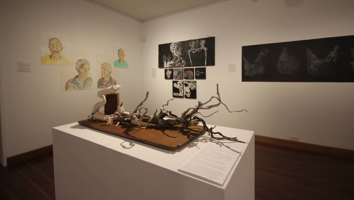 New Horizons is the latest exhibition to the Shoalhaven Regional Gallery, showcasing students works from the Shoalhaven. Picture by Holly McGuinness