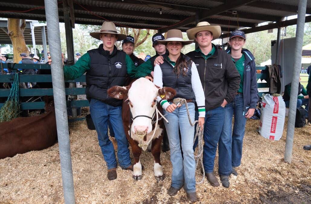 School's across the state came together to showcase the best of their cattle in Nowra. Pictures by Holly McGuinness