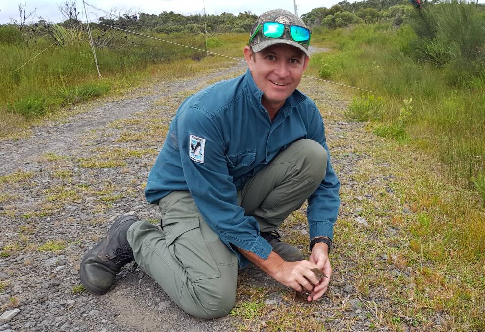 Booderee National Park country and conservation manager Dion Maple releasing an Eastern Bristlebird on the job. Picture supplied