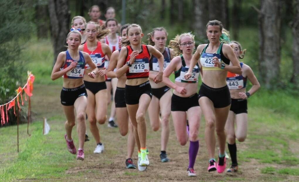 LEADING FROM THE FRONT: Olivia Greenhalgh (426) during the recent NSW Short Course Cross Country Championships. Photo: Athletics NSW
