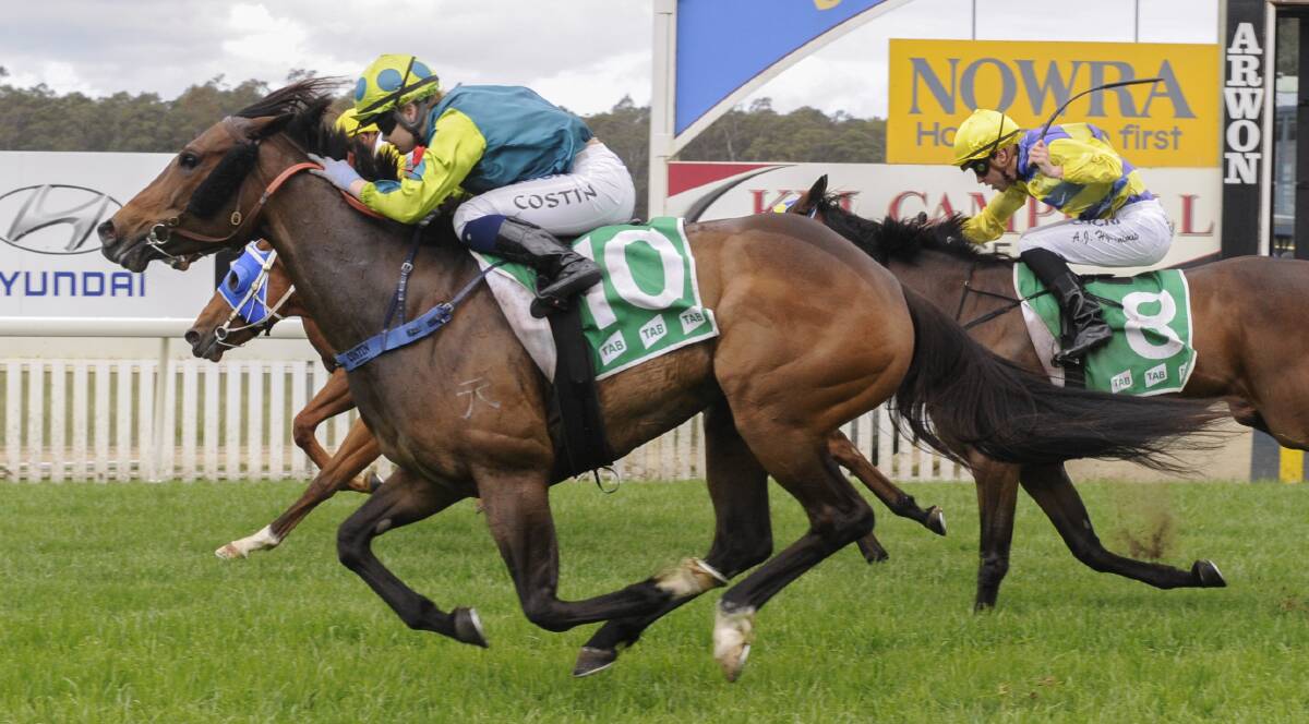 LATE CHARGE: Feisty Fox wins the South Coast Business & Financial Mollymook Cup on Sunday. Photo: bradleyphotos.com.au