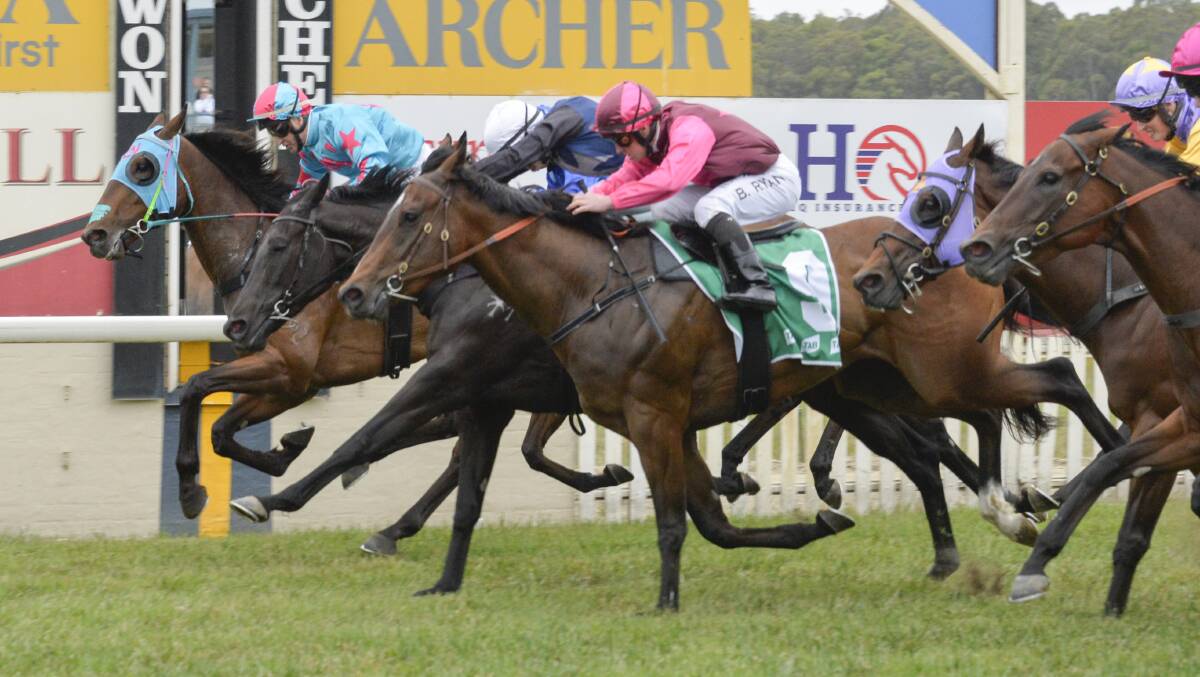 John Rolfe's Royal Monarch wins the 2020 Mollymook Cup at the Archer Racecourse. Photo: BradleyPhotos.com.au