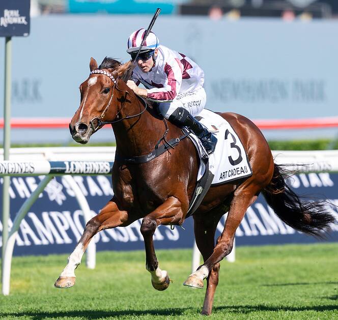 Terry Robinson's Art Cadeau and Tommy Berry will team up once again for Saturday, October 16's Kosciuszko race at Royal Randwick. Photo: Racing NSW