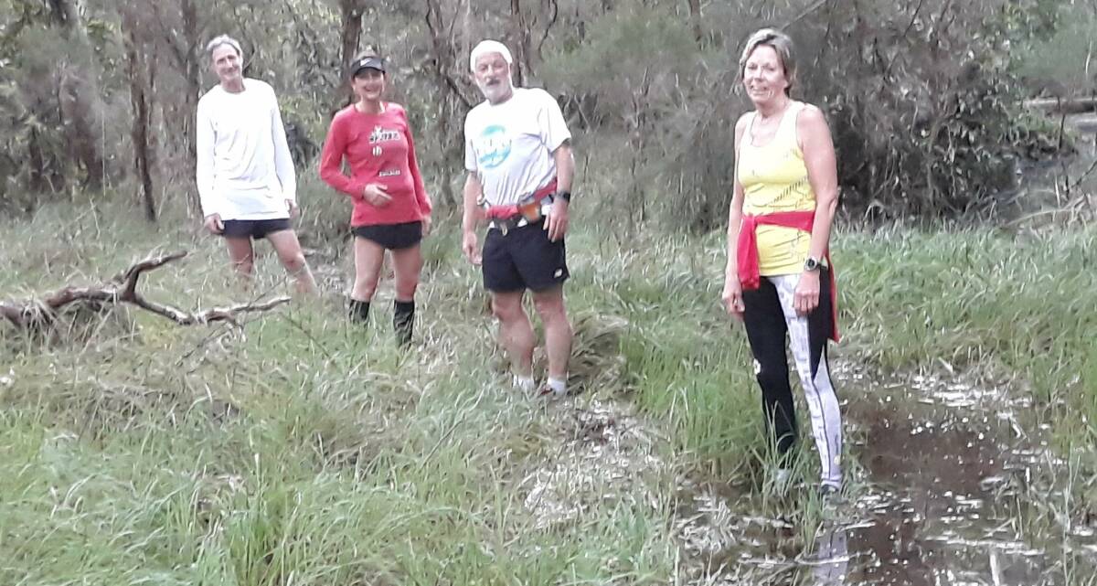  Swamp Rats: Bill, Nic, Bob and Maree in some swampy terrain at Narrawallee on Sunday's run.