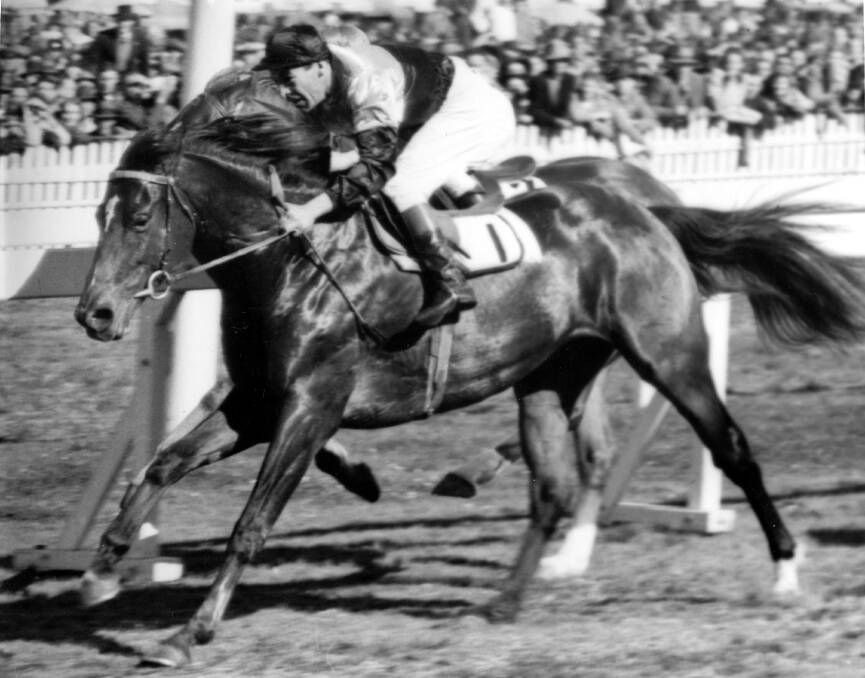 Darby Munro, aboard Shannon, races to victory at Campbelltown.