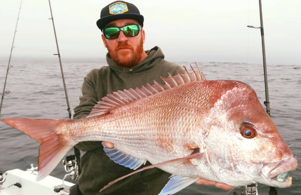 Lucky catch: Snapper recaptured in South Coast waters. Image: NSW DPI.