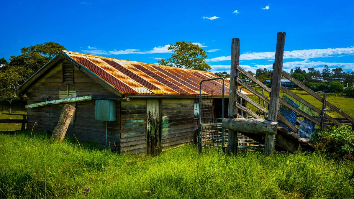 PIC OF THE WEEK: James Farrell loves the old shed behind Milton Ulladulla Hospital.