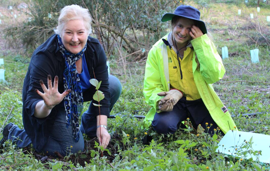 GREEN THUMBS: Gilmore MP Ann Sudmalis with a Green Army participant at a tree planting at Bundanon. 