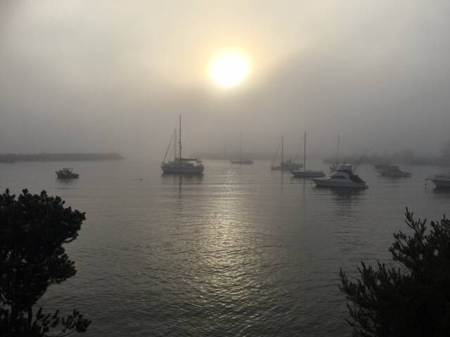 PIC OF THE WEEK: Wendy Buckingham caught the eerie fog on Ulladulla Harbour last Friday. Send your pics to editorial@ulladullatimes.com.au 