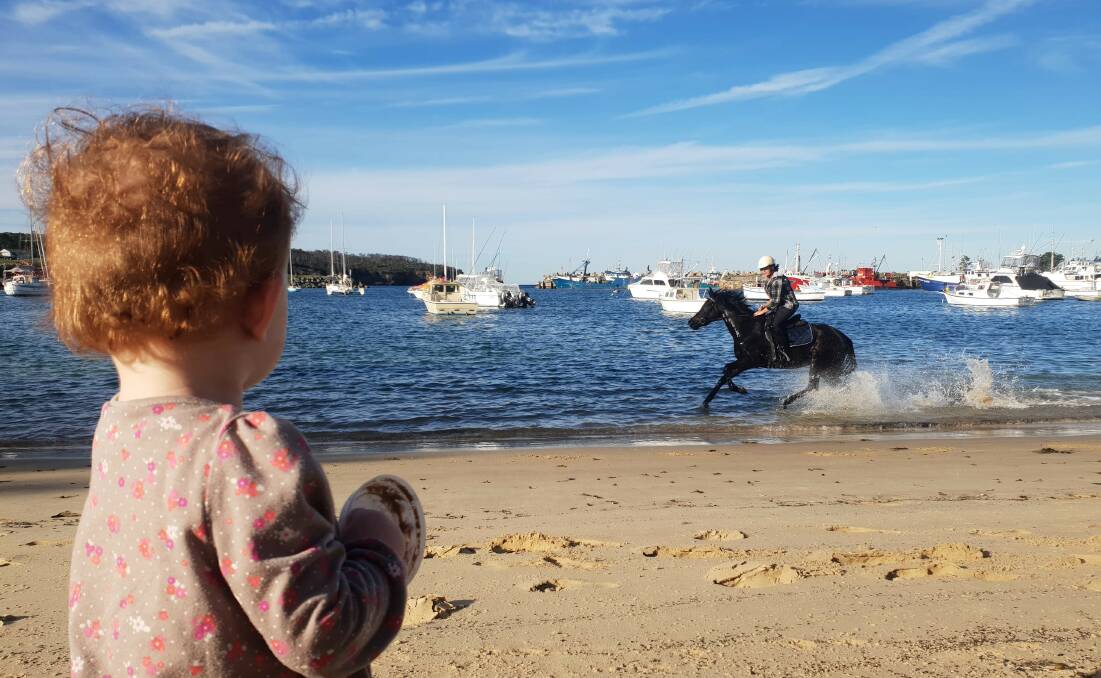 PIC OF THE WEEK: Horse in the harbour by Nicolette Pickard. Send photos to editorial.mutimes@fairfaxmedia.com.au 