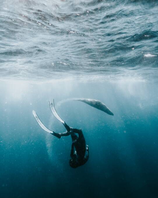 PIC OF THE DAY: Jase Bowen freediving with seals in the Shoalhaven. Photo by @jason_bowen. Email your photos to editorial@ulladullatimes.com.au