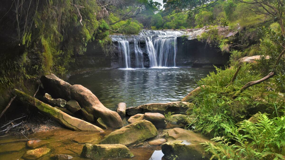 PIC OF THE WEEK: Nellies Glen waterfall by Dannie & Matt Connolly Photography. Email your photos to editorial@ulladullatimes.com.au 