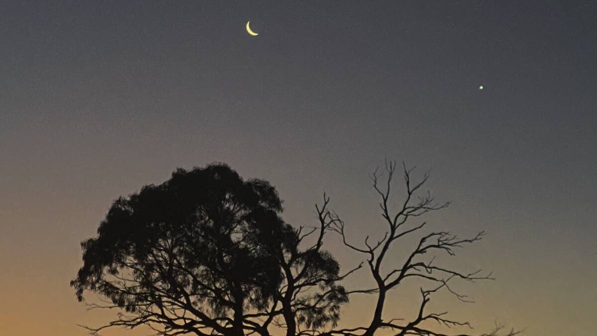 PIC OF THE WEEK: The moon and Venus in the night sky. Email your photos to editorial@ulladullatimes.com.au
